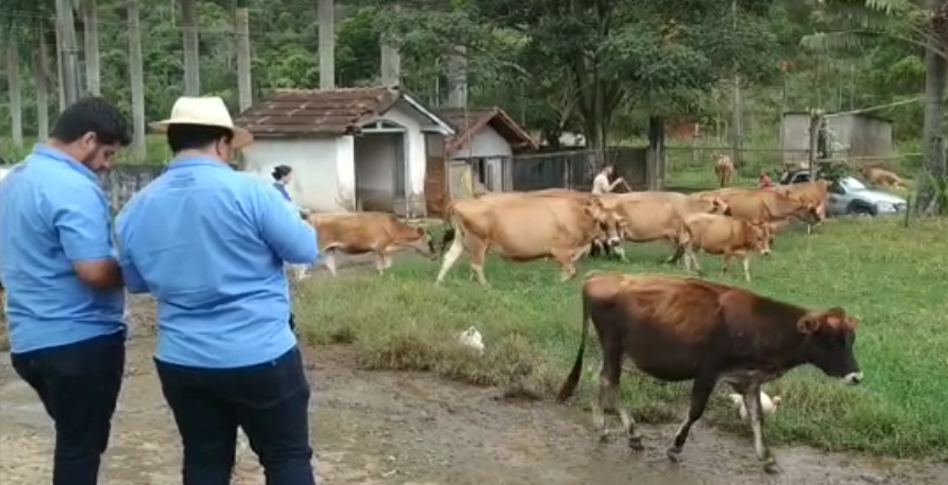 Portal de Notícias PJF | Inscrições para cadastro reserva do PróLeite são prorrogadas | SEAPA - 3/6/2024