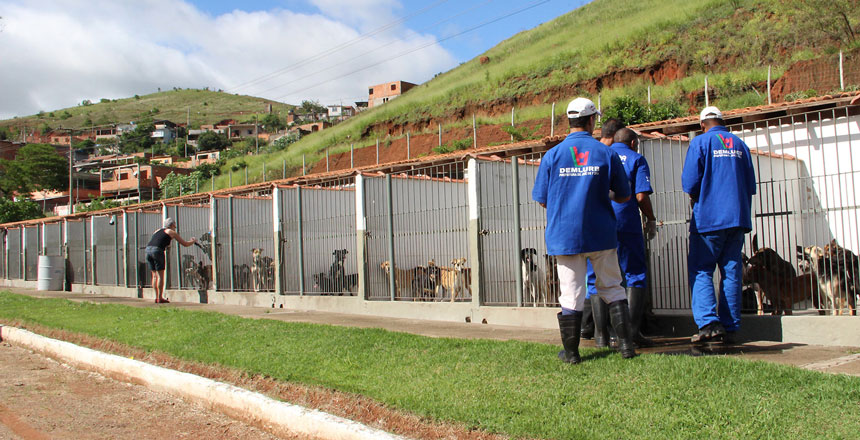 Canil Municipal mantém serviço de adoção de animais durante a pandemia