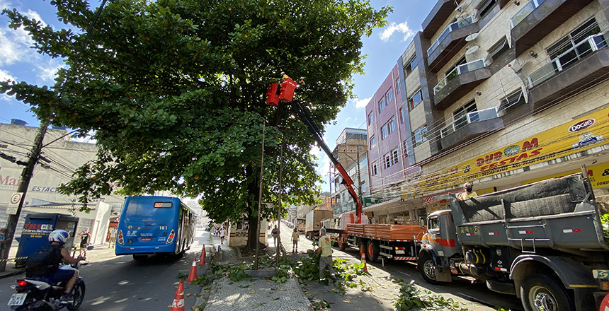 Portal de Notícias PJF | Programa Boniteza realiza poda de árvores na Avenida Rio Branco neste sábado, 9 | EMPAV - 8/4/2022