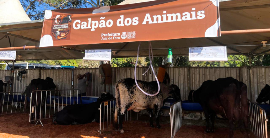 Portal de Notícias PJF | 13° Torneio Leiteiro de Paula Lima retorna ao Circuito de Eventos Agropecuários após duas décadas | SDA - 19/8/2026