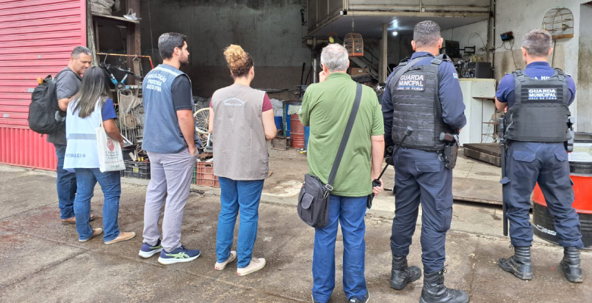 Portal de Notícias PJF | Prefeitura autua dois ferros-velhos por comercializar cobre irregular em Juiz de Fora | SEDUPP - 13/4/2026