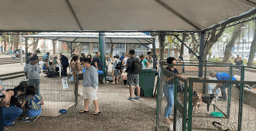 Portal de Notícias PJF | Sebeal realiza 16º evento de adoção responsável no Parque Halfeld neste sábado, 30 | SEBEAL - 27/5/2026