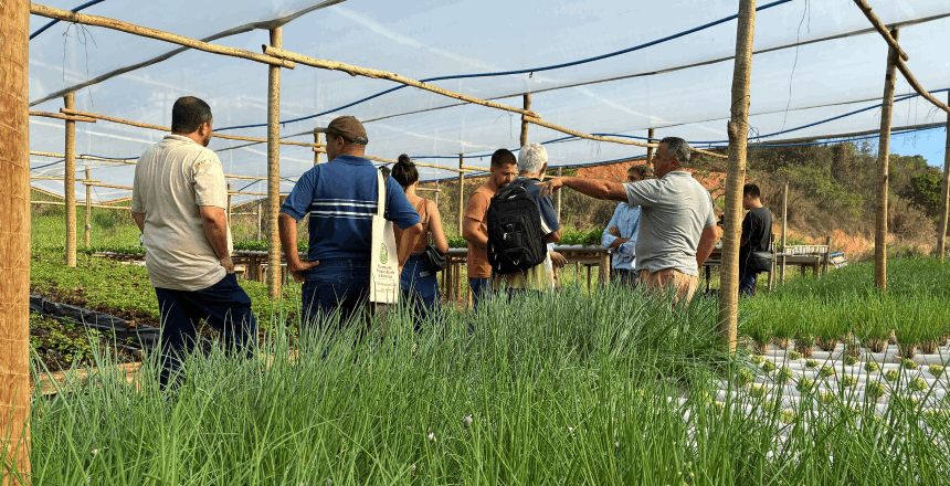 Portal de Notícias PJF | PJF abre inscrições para o 2º Encontro de Produtores da Horticultura com foco em Segurança Alimentar e Hídrica | SDA - 9/10/2026