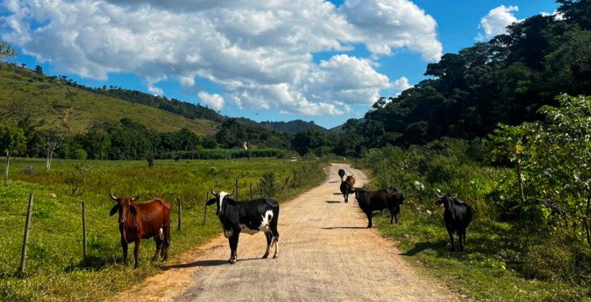 Portal de Notícias PJF | PJF lança “Caminhos da Produção” para impulsionar o turismo rural na próxima sexta-feira, 25 | SDA - 21/9/2026