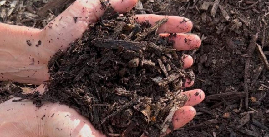 Portal de Notícias PJF | Projeto Terra Boa tem inscrições abertas para retirada de composto orgânico; ação ocorre na próxima segunda, 29 | SDA - 22/6/2026
