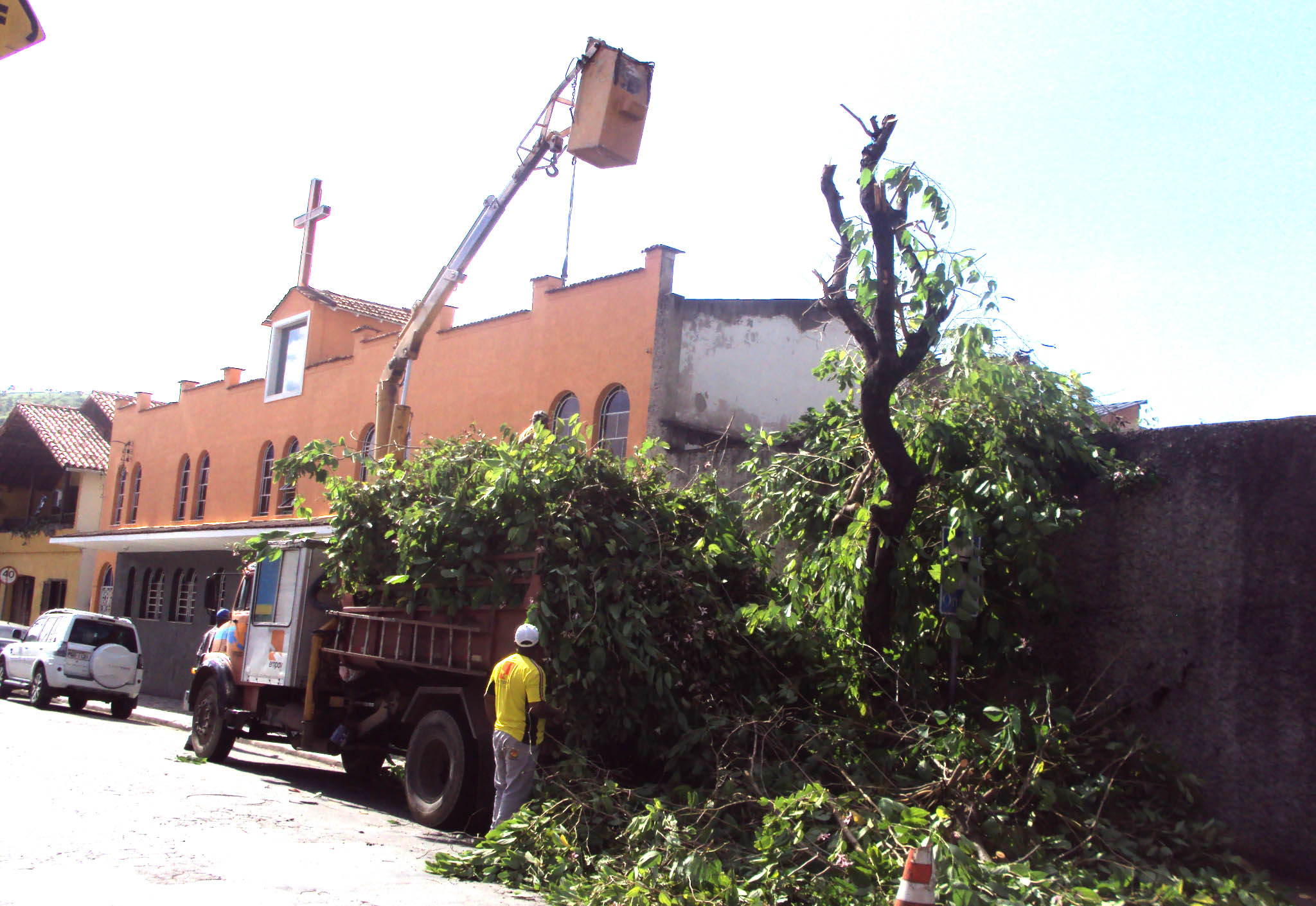 Portal de Notcias PJF | Empav realiza poda de rvores no Poo Rico | EMPAV - 27/4/2015