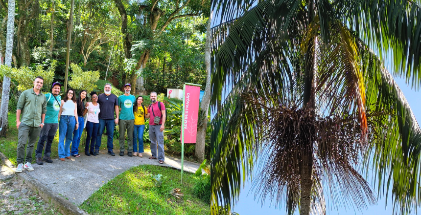 Portal de Notícias PJF | Inscrições abertas para Oficina de Plantio e Produção da Palmeira Juçara no Jardim Botânico | SDA - 27/5/2026