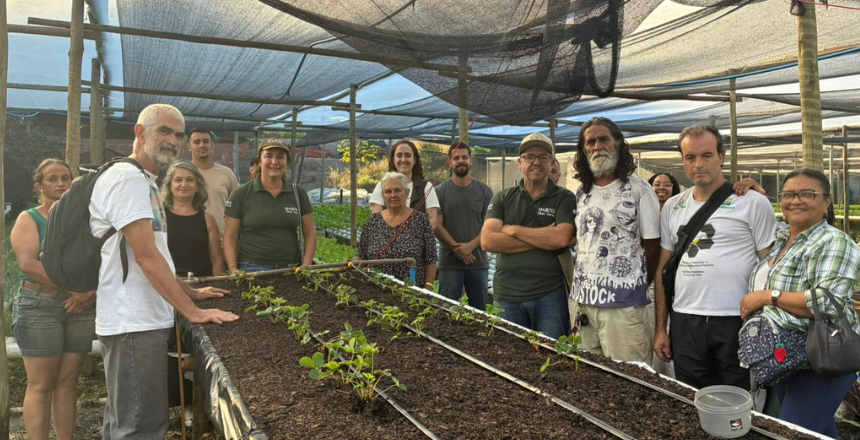 Portal de Notícias PJF | Produtores rurais participam de oficina voltada à produção de morango e frutas vermelhas | SDA - 25/3/2026