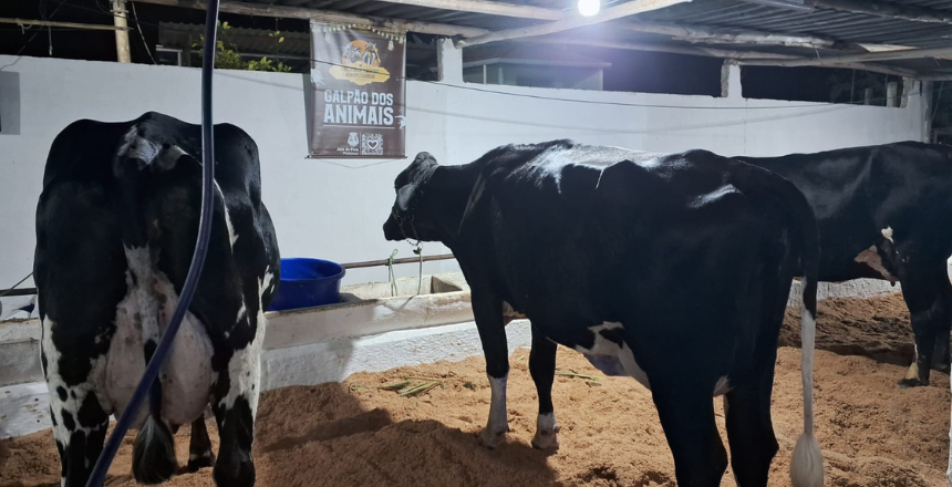 Portal de Notícias PJF | PJF divulga programação do Circuito de Eventos Agropecuários de Juiz de Fora | SEAPA - 20/5/2025