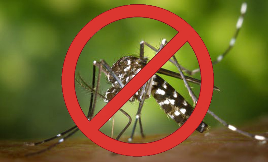 Portal de Notcias PJF | Fora-tarefa contra dengue atende denncias no sbado | SS - 21/11/2019