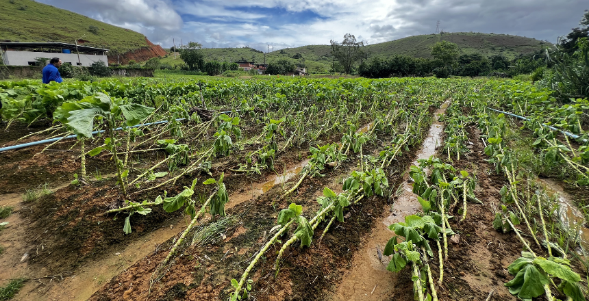 Portal de Not�cias PJF | Prefeitura refor�a apoio aos produtores rurais ap�s danos das chuvas | SDA - 3/3/2026