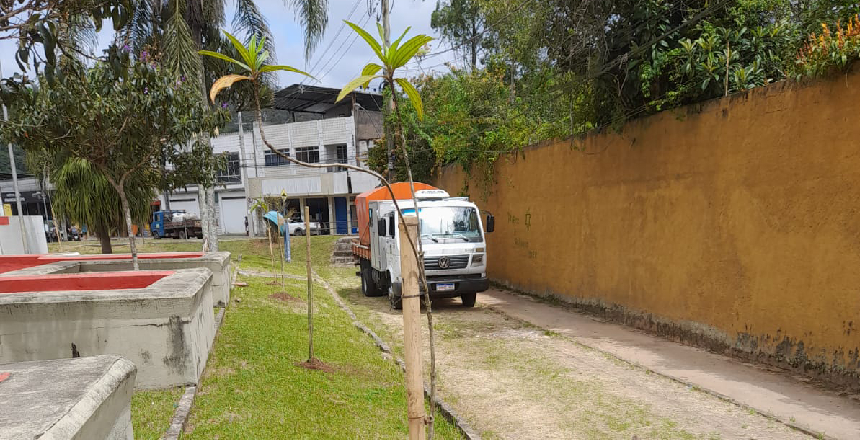 Portal de Not&iacute;cias PJF | PJF d&aacute; sequ&ecirc;ncia ao projeto de plantio de mudas em Juiz de Fora | EMPAV - 3/3/2023