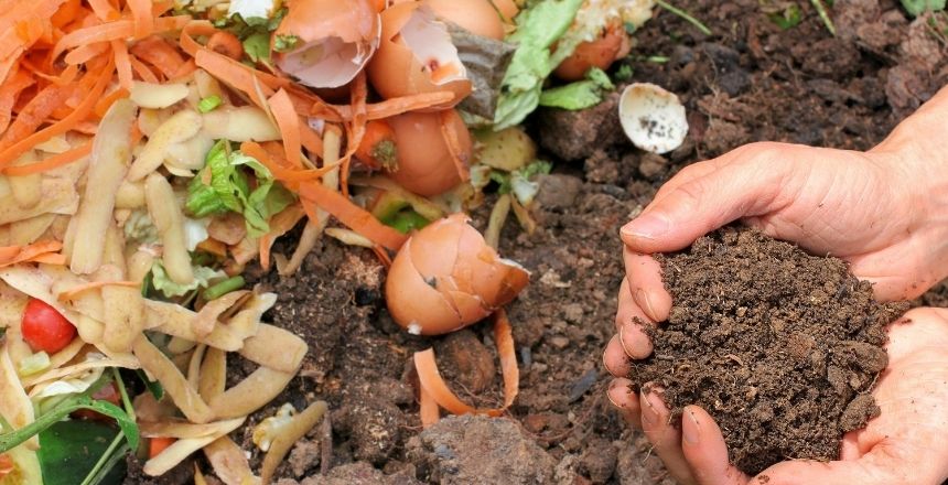 Portal de Not�cias PJF | PJF abre pesquisa de opini�o voltada para os agricultores sobre utiliza��o de materiais org�nicos | SEAPA - 4/2/2022