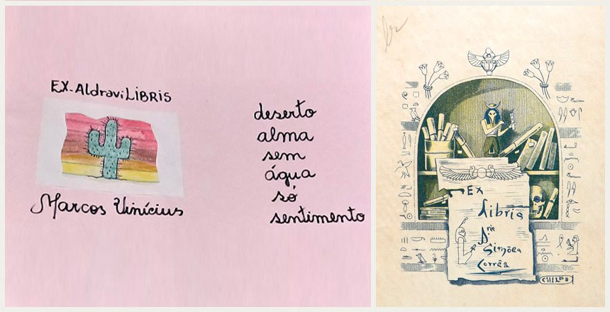 Portal de Not�cias PJF | Cole��o do Museu Mariano Proc�pio � refer�ncia para projeto liter�rio          | MUSEU MARIANO PROC�PIO - 5/4/2021