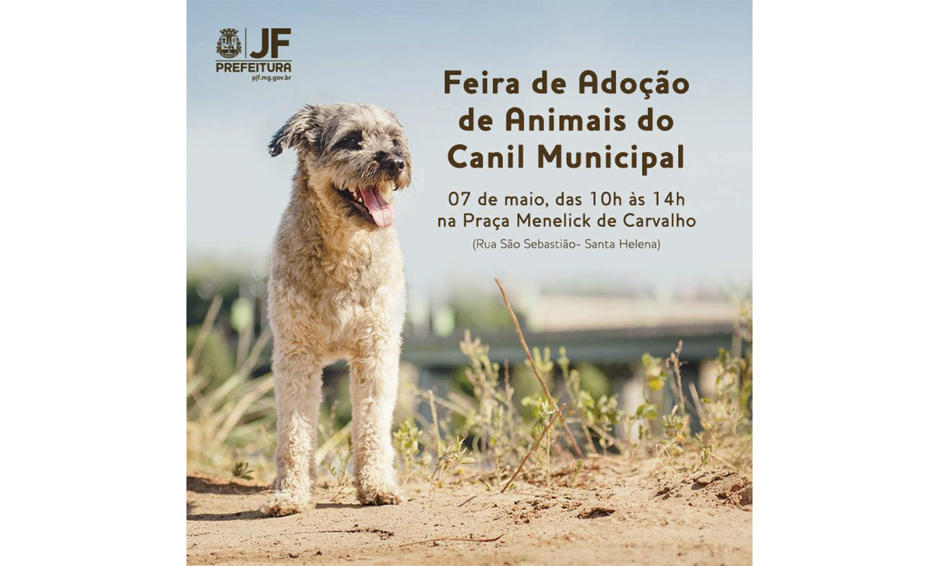 Portal de Notcias PJF | Neste sbado - Feira de Adoo do Canil Municipal  ser na Praa Menelick de Carvalho | DEMLURB - 5/5/2016