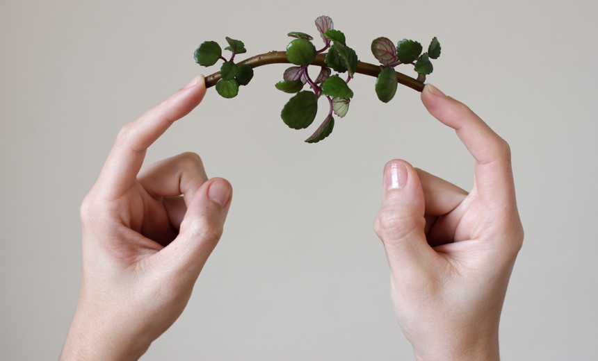 Portal de Not�cias PJF | Funalfa lan�a edital para selecionar mostras de fotografia | FUNALFA - 5/9/2017