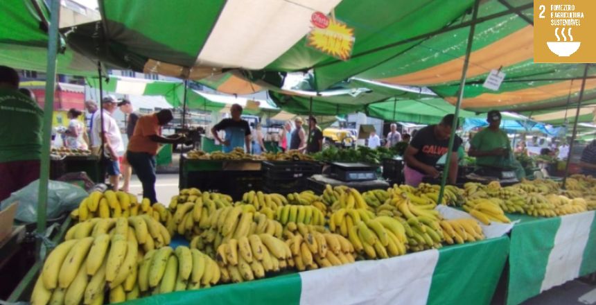 Portal de Not�cias PJF | Prefeitura divulga resultado do Edital das Feiras Livres | SEAPA - 5/12/2023