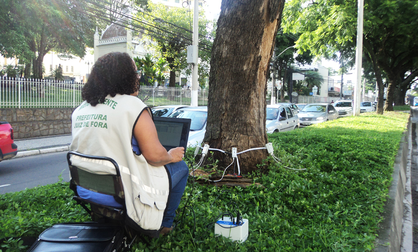 Portal de Notcias PJF | Secretaria de Meio Ambiente realiza vistorias tcnicas na arborizao da Avenida Rio Branco    | SMA - 9/2/2018
