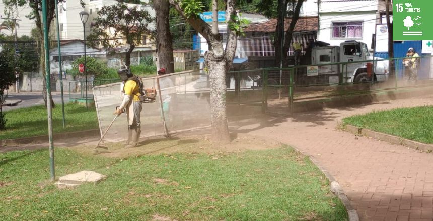 Portal de Noticias PJF | Prefeitura atende a quase 50 bairros com os servios de limpeza e poda de grama em apenas dois dias - EMPAV | 9/4/2024