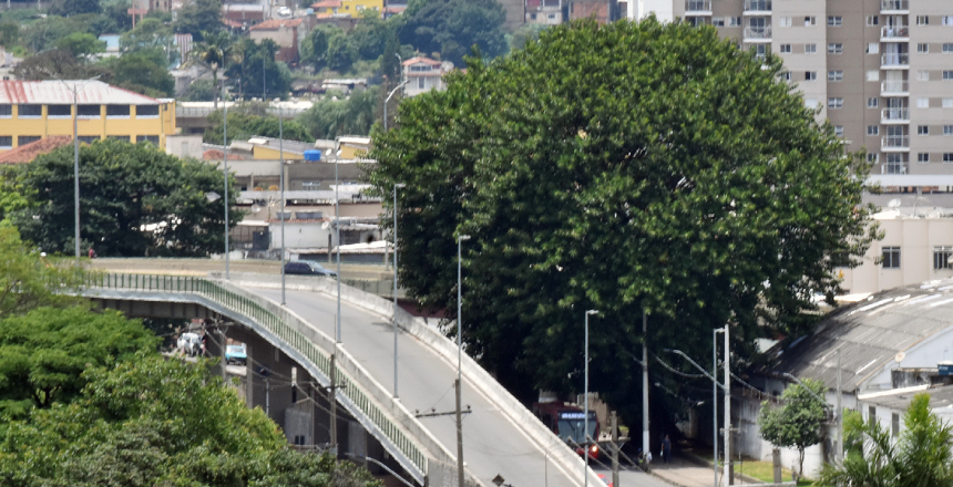 Portal de Not�cias PJF | Programa��o de Natal da PJF come�a com �rvore da Vida em homenagem �s v�timas da Covid-19  | SG - 9/12/2021