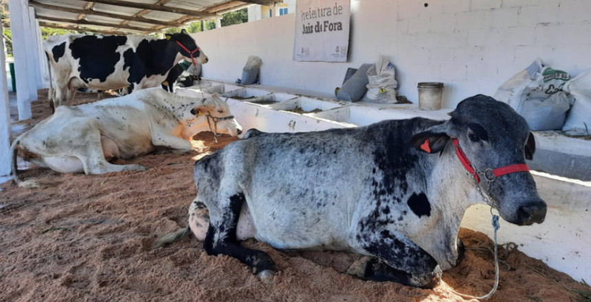 Portal de Not�cias PJF | Inscri��es abertas para realiza��o do Circuito de Eventos Agropecu�rios de 2026 | SDA - 10/3/2026