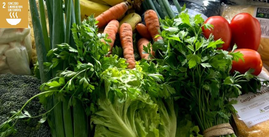 Portal de Not�cias PJF | Prazo para entrega de envelopes do Edital Comida Boa termina nesta segunda-feira, 15. | SEAPA - 12/1/2024