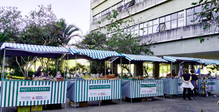 Portal de Not�cias PJF | Inscri��es abertas para Feirinha da PJF edi��o especial de Julho | SEAPA - 14/6/2022