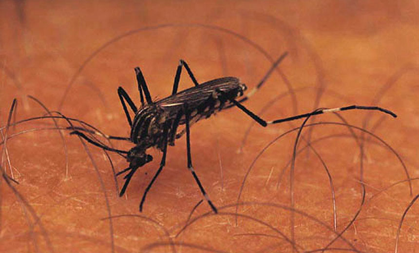 Portal de Notcias PJF | Sade realiza aes de combate e preveno ao Aedes aegypti | SS - 15/7/2019
