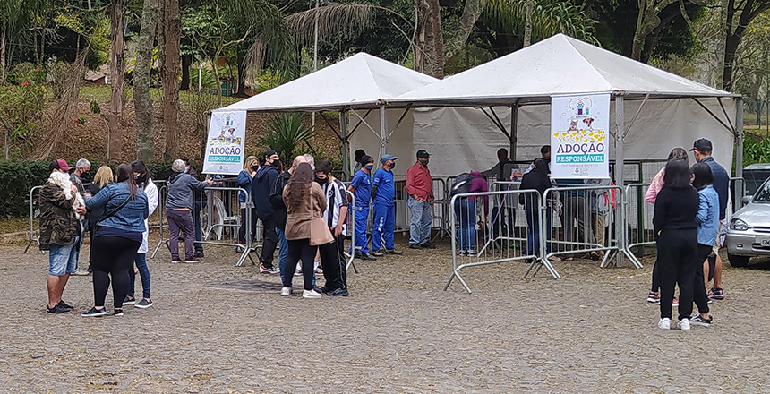 Portal de Not�cias PJF | Primeiro evento de ado��o do ano garante novo lar para animais do Canil Municipal | SECOM - 16/8/2021