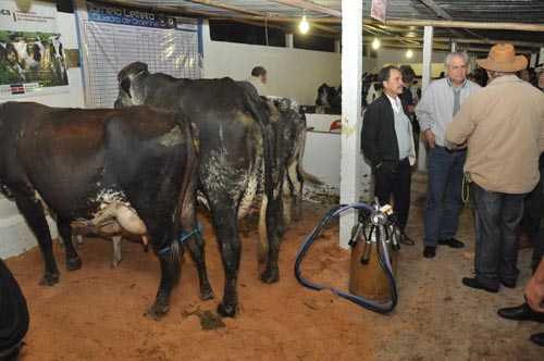 Portal de Not�cias PJF | 4� Sal�o de Humor de Juiz de Fora ser� aberto nesta quinta-feira | FUNALFA - 15/5/2012