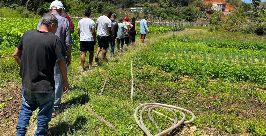 Portal de Not�cias PJF | SDA e SAS fortalecem hortas em casas de acolhimento e Servi�os de Conviv�ncia de Juiz de Fora | SDA - 18/11/2025