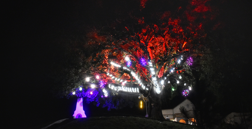 Portal de Not�cias PJF | �rvore da Esperan�a, decorada por artes�s acauteladas, � iluminada no Mirante S�o Bernardo | SG - 17/12/2021