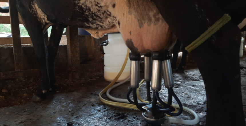 Portal de Not�cias PJF | PJF abre pr�-cadastramento para comiss�es interessadas em realizar Eventos Agropecu�rios em 2026 | SDA - 20/10/2025