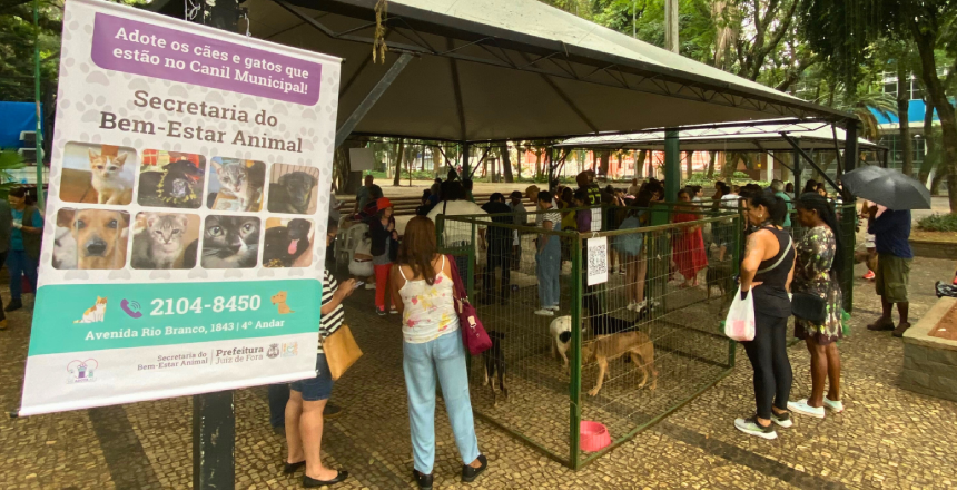 Portal de Not�cias PJF | Sebeal realiza evento de ado��o do Canil Municipal neste s�bado, 9, no Parque Halfeld | SEBEAL - 4/8/2025