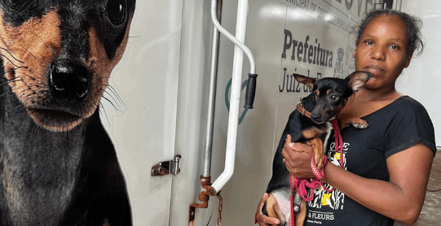 Portal de Not�cias PJF | Castram�vel amplia acesso � castra��o e j� atende oito bairros em Juiz de Fora | SEBEAL - 16/4/2026