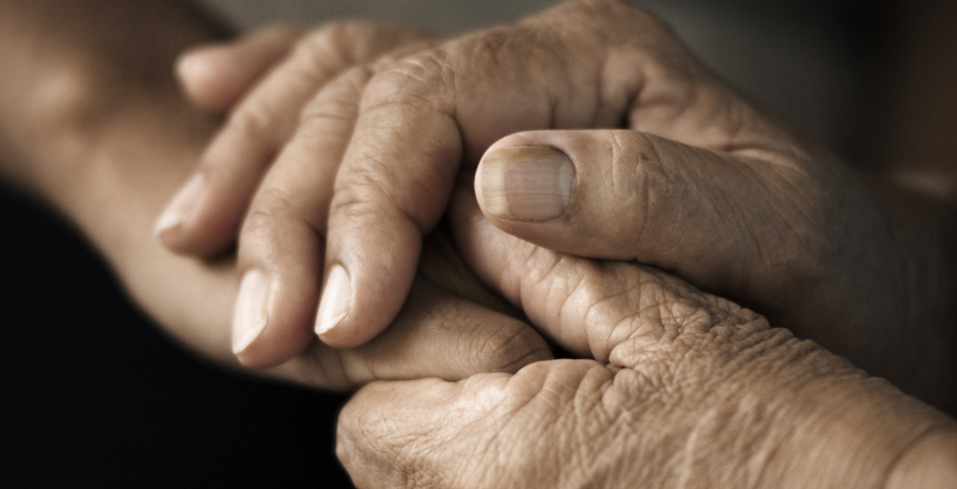 Portal de Not�cias PJF | Prefeitura e sociedade se unem no combate � fome por meio da Mesa de Cidadania | SDS - 21/1/2021