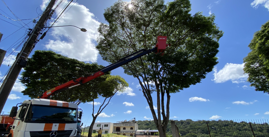 Portal de Noticias PJF | Prefeitura realiza poda de árvores em mais de dez bairros nesta semana - EMPAV | 22/3/2023