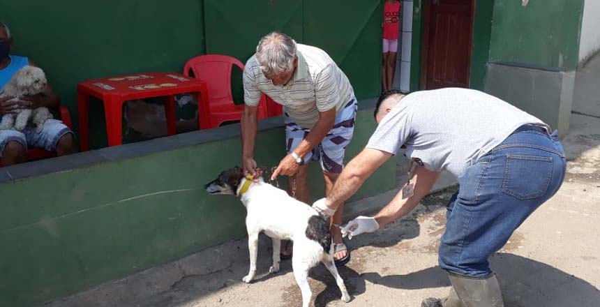 Portal de Not�cias PJF | Campanha de vacina��o antirr�bica acontece na Zona Urbana de JF neste s�bado | SS - 22/10/2020