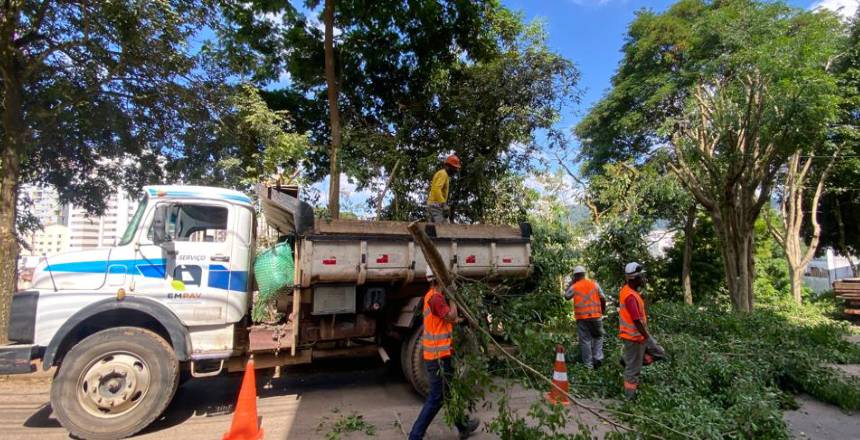 Portal de Noticias PJF | Prefeitura realiza quase cem podas preventivas de árvores nos últimos cinco dias - EMPAV | 24/3/2023