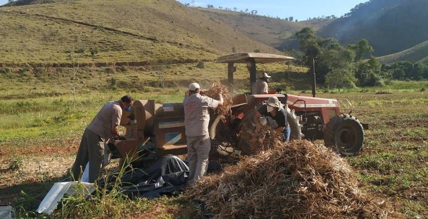 Portal de Not�cias PJF | Inscri��es de Mecaniza��o Agr�cola para beneficiamento de feij�o terminam neste domingo, 31 | SDA - 28/5/2026