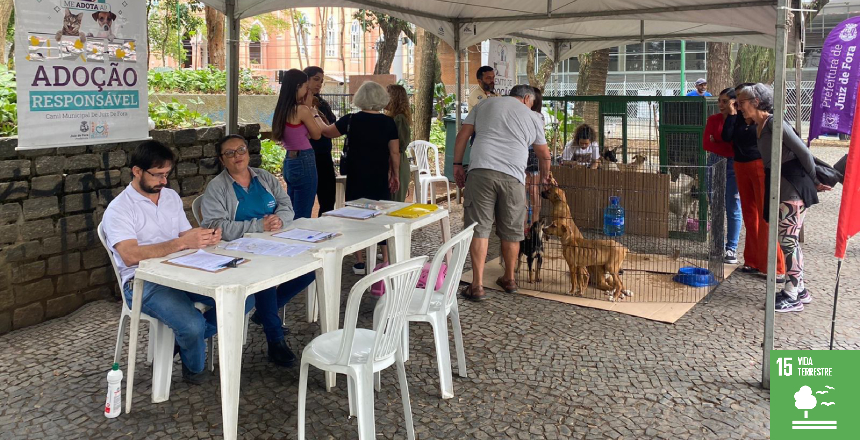 Portal de NotÃ­cias PJF | Oito cães ganham novo lar através do evento de adoção responsável do Canil Municipal - SS | 28/8/2023