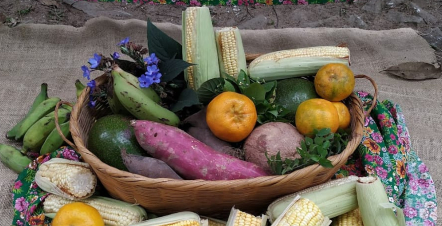 Portal de Not�cias PJF | JF tem programa��o especial marcando o Dia Mundial da Luta Contra o Uso dos Agrot�xicos | SEAPA - 28/11/2022