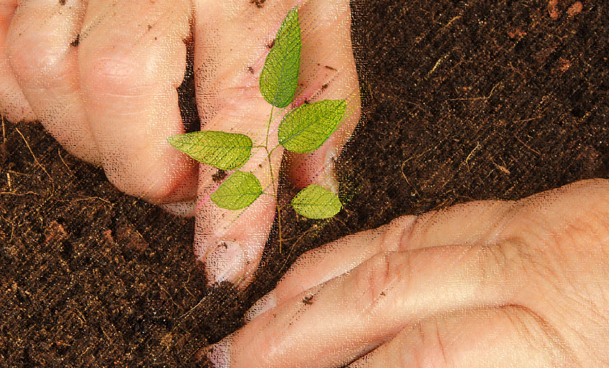 Portal de Not�cias PJF | Secretaria de Meio Ambiente abre sele��o para est�gio | SMA - 29/5/2018