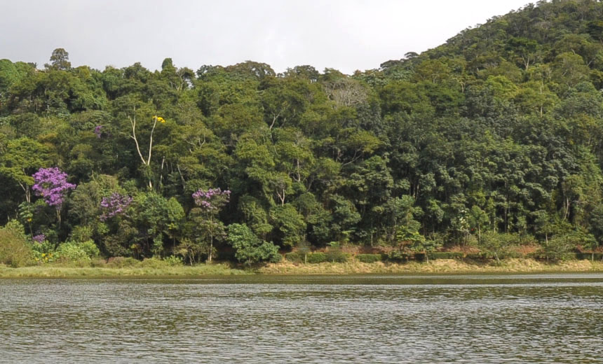 Portal de Not�cias PJF | Prefeitura de Juiz de Fora integra �Semana do Meio Ambiente� | SMA - 30/5/2018