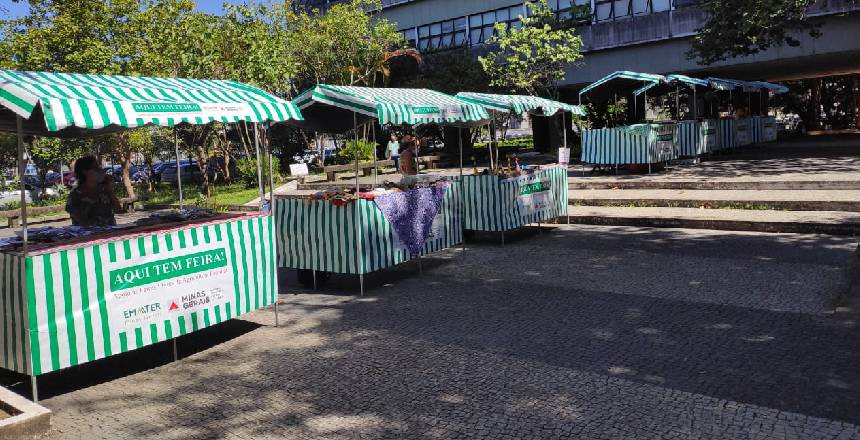 Portal de Not�cias PJF | Feirinha da PJF edi��o especial de julho come�a nesta sexta-feira, 1� | SEAPA - 30/6/2022