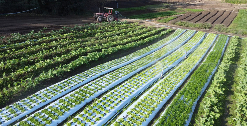 Portal de Not�cias PJF | PJF lan�a edital do Programa de Aquisi��o de Alimentos para adquirir 30 toneladas de alimentos da agricultura familiar | SDA - 5/2/2026