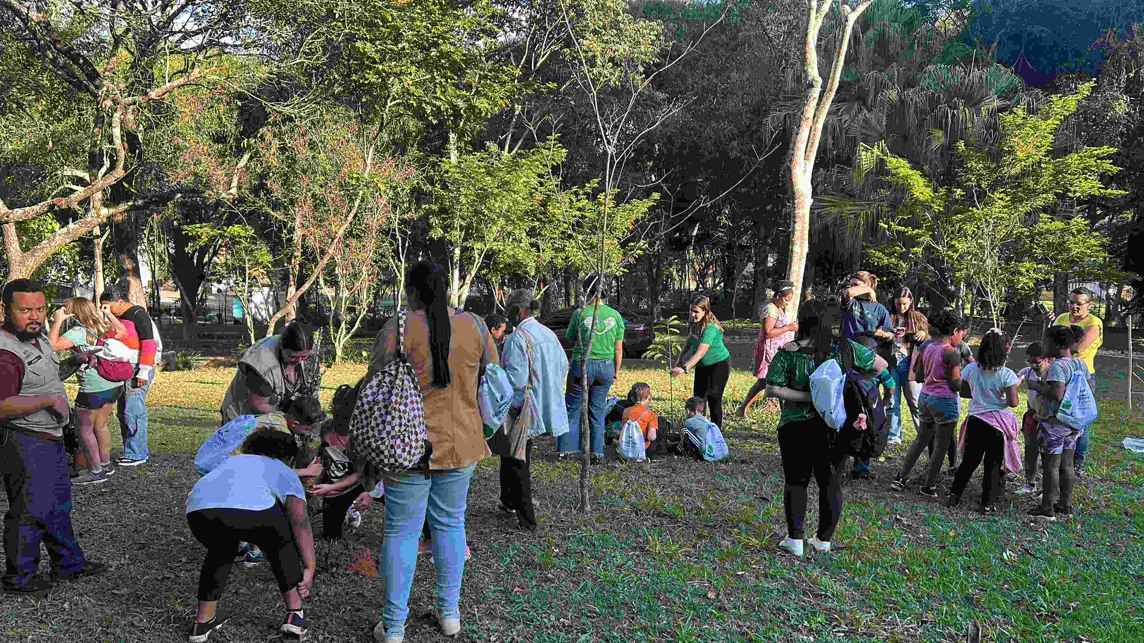 Portal de Not�cias PJF | Arrai� do Parque da Lajinha encerra Col�nia de F�rias com dan�a, quadrilha e atividades ambientais neste domingo, 12 | MEIO AMBIENTE - 9/7/2026