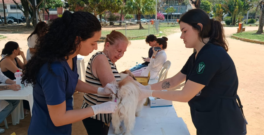 Portal de Not�cias PJF | Segunda etapa da Campanha de Vacina��o Antirr�bica Animal acontece neste s�bado, 8 | SS - 4/11/2025