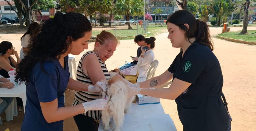 Portal de Not�cias PJF | Campanha de vacina��o antirr�bica animal acontece neste s�bado, 19, em 90 pontos da cidade | SS - 14/9/2026