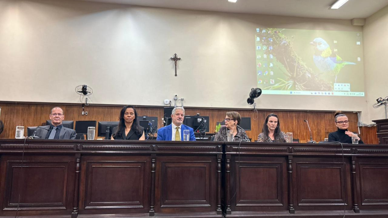 Portal de Not�cias PJF | 1� Reuni�o P�blica da Rede de Enfrentamento � Viol�ncia Dom�stica (Revid) � realizada em Juiz de Fora | MULHERES - 27/8/2026